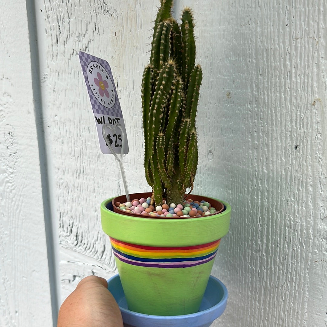 Pride WITH CACTUS