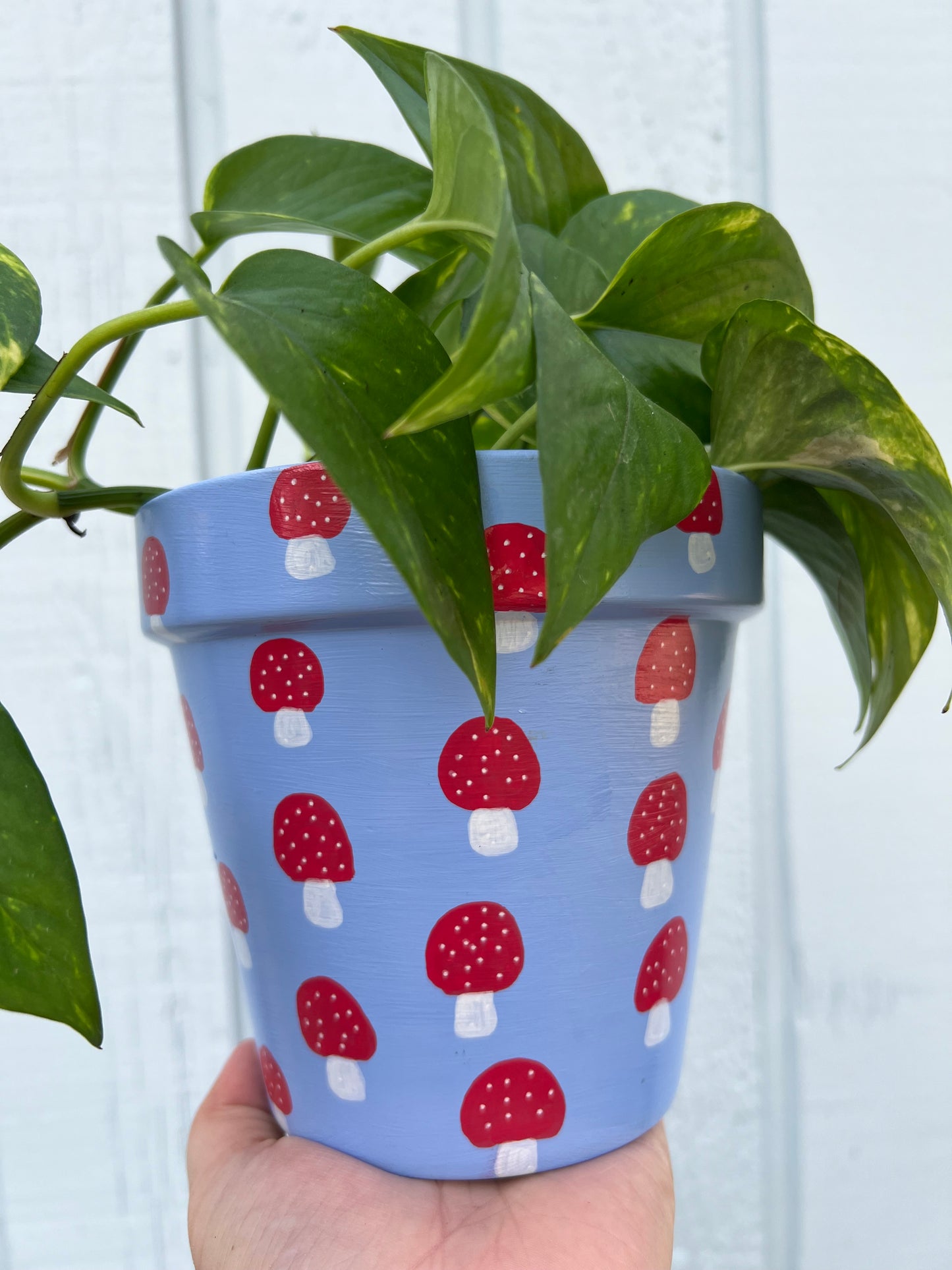 Blue Mushroom Painted Terra Cotta Pot