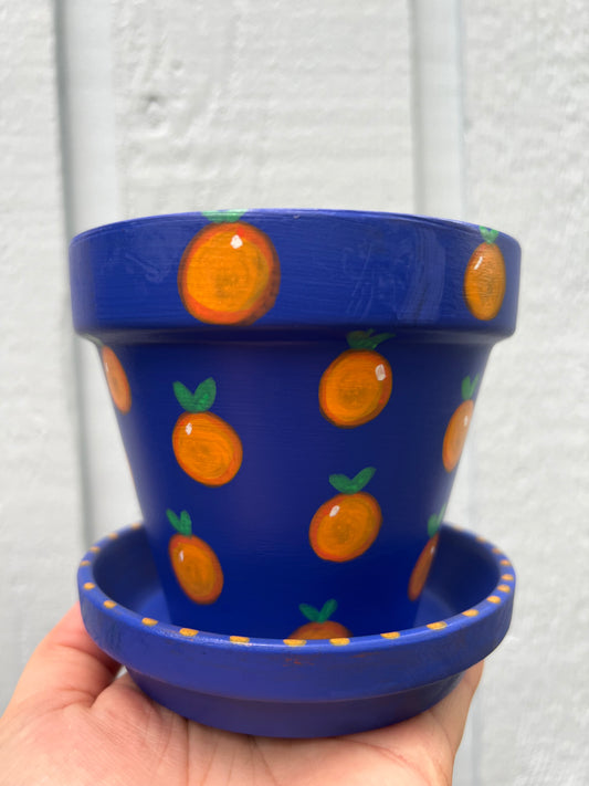 Blue Oranges Terra Cotta Pot