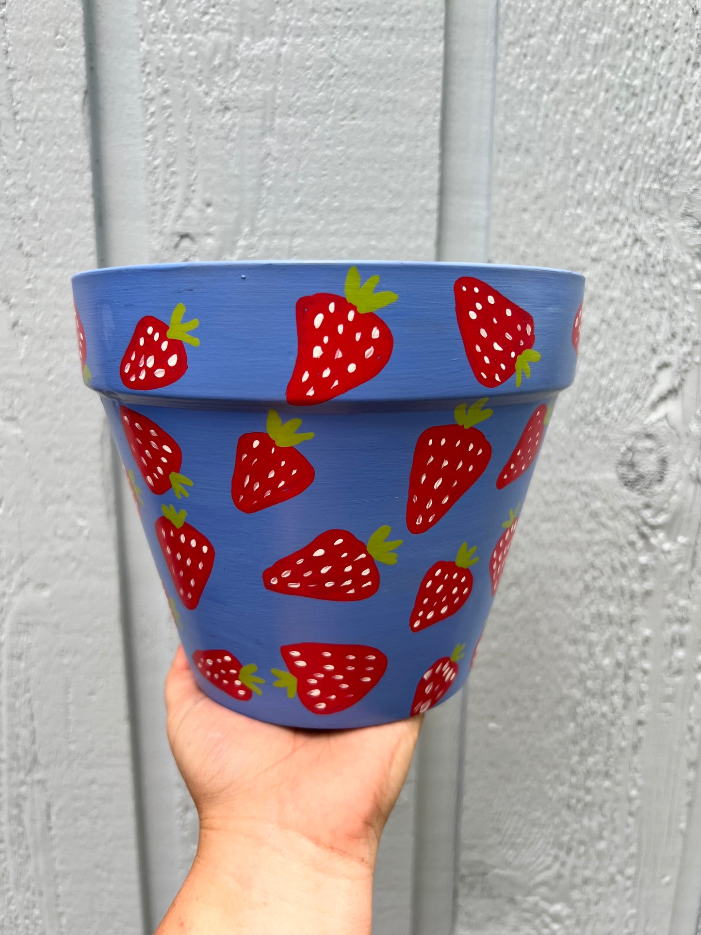 Blue Strawberry Terra Cotta Pot