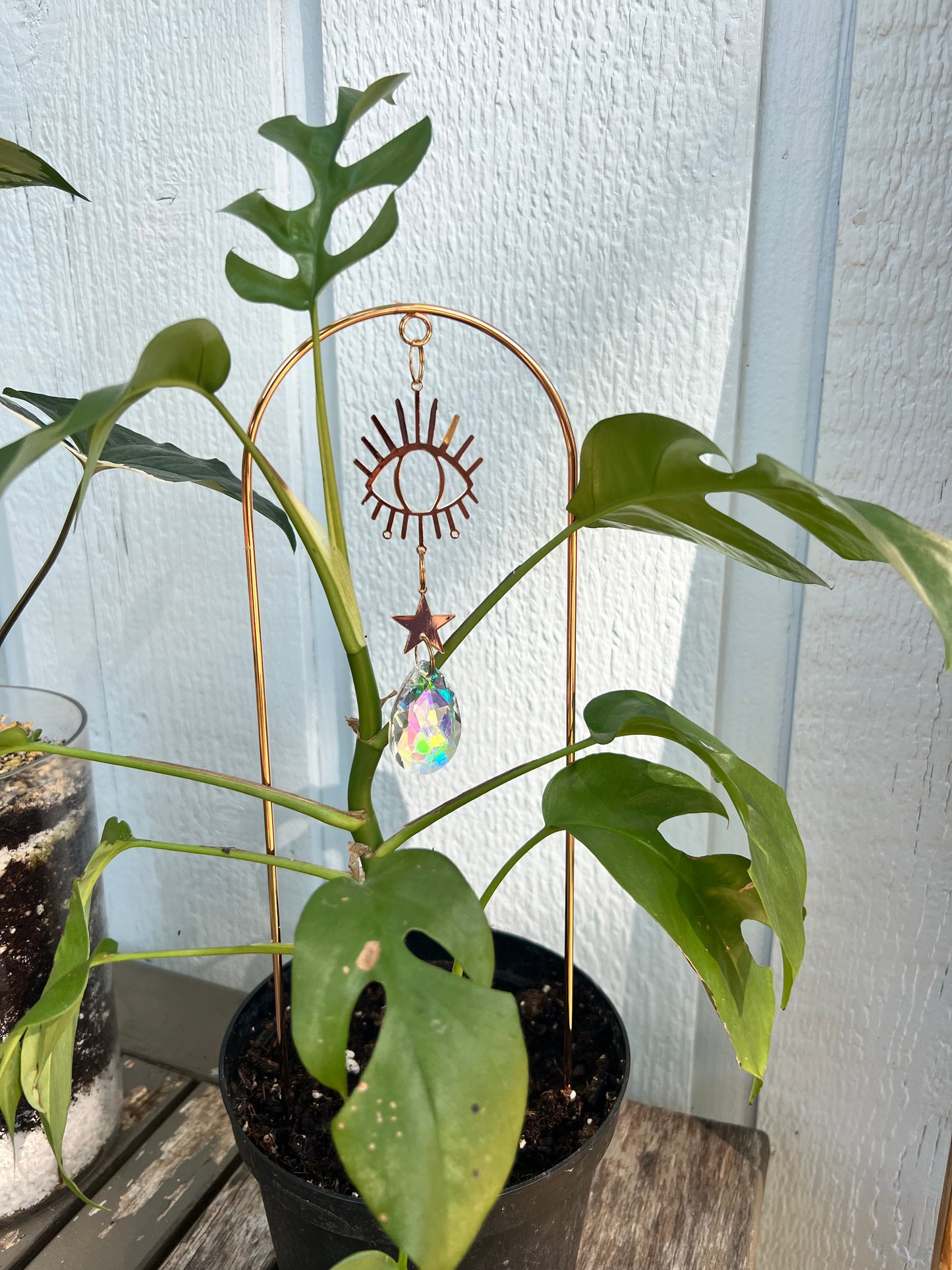 Golden Plant Trellis With Suncatcher