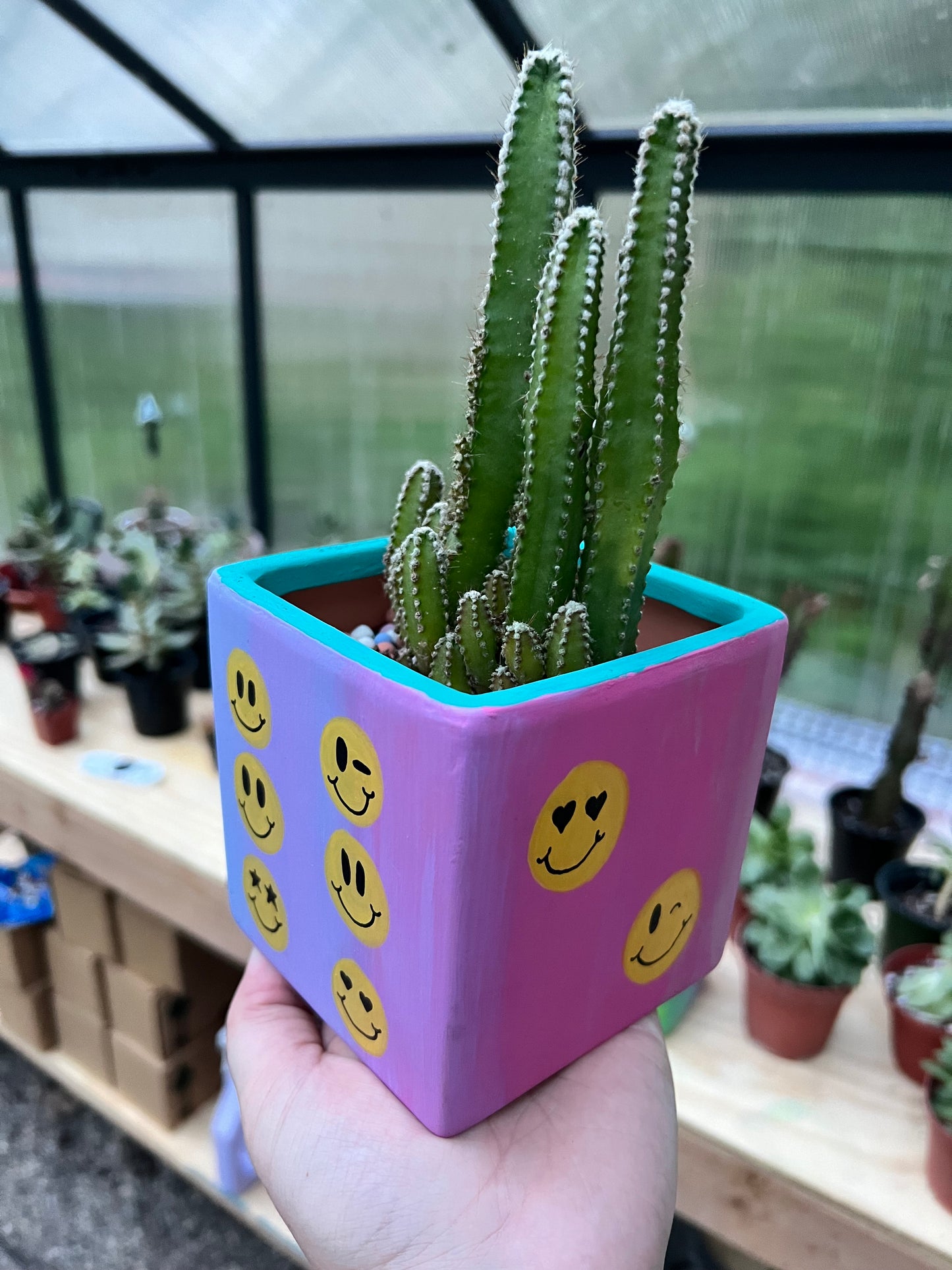Smiley Face Dice Painted Pot💚
