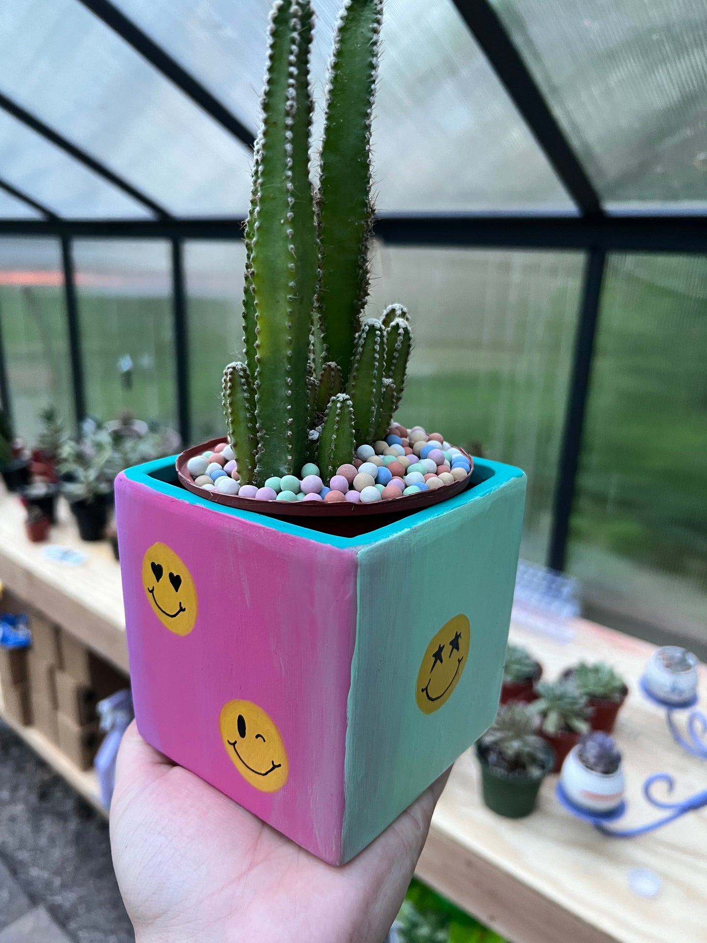 Smiley Face Dice Painted Pot💚
