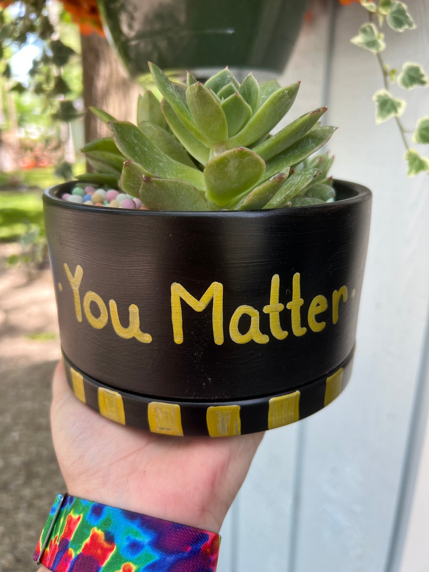 You Matter Succulent Arrangement💚