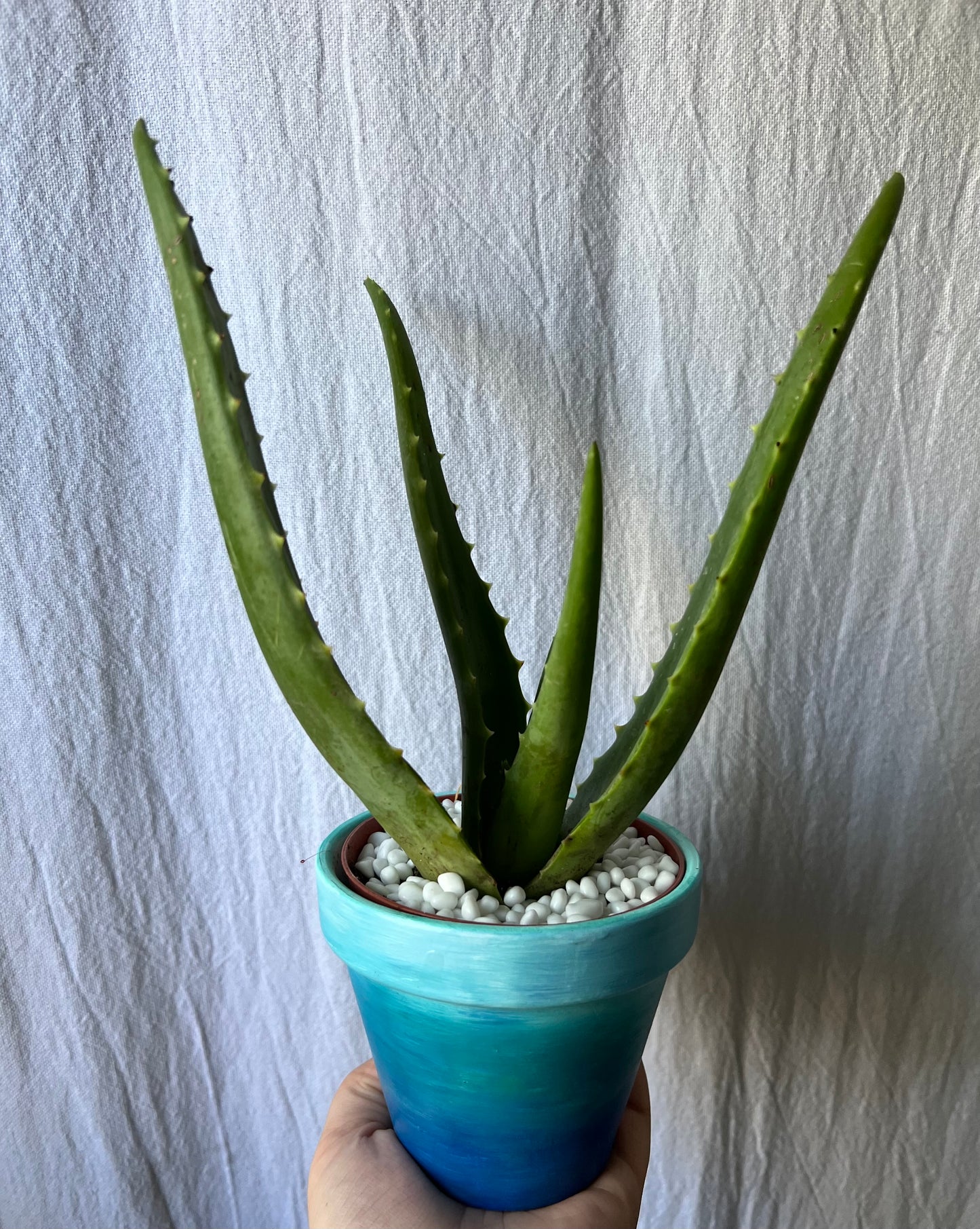 Ombre Blues Painted Terra Cotta Pot