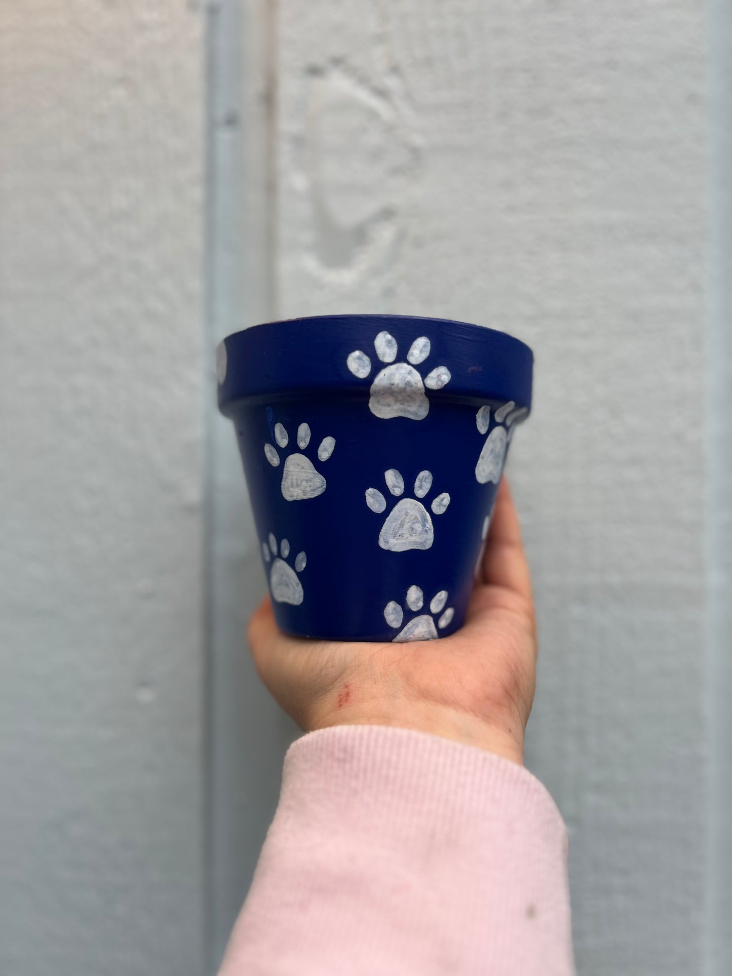 Blue Paw Print Painted Terra Cotta Pot