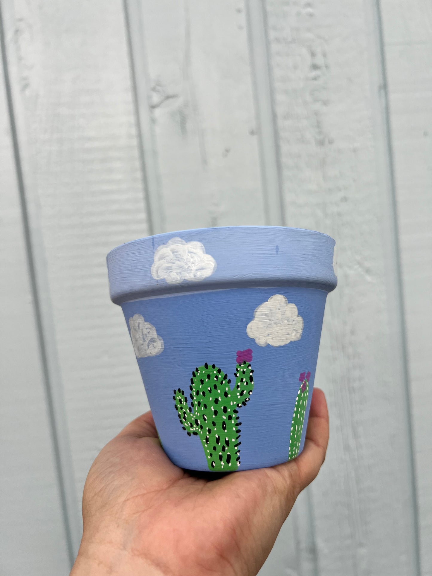 Cactus Clouds Painted Terra Cotta Pot💚